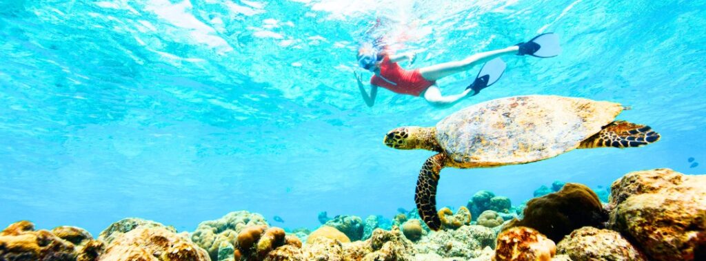 Snorkeling in Navarre Beach Florida