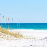 7 Reasons Winter is the Perfect Time to Move to the Gulf Coast