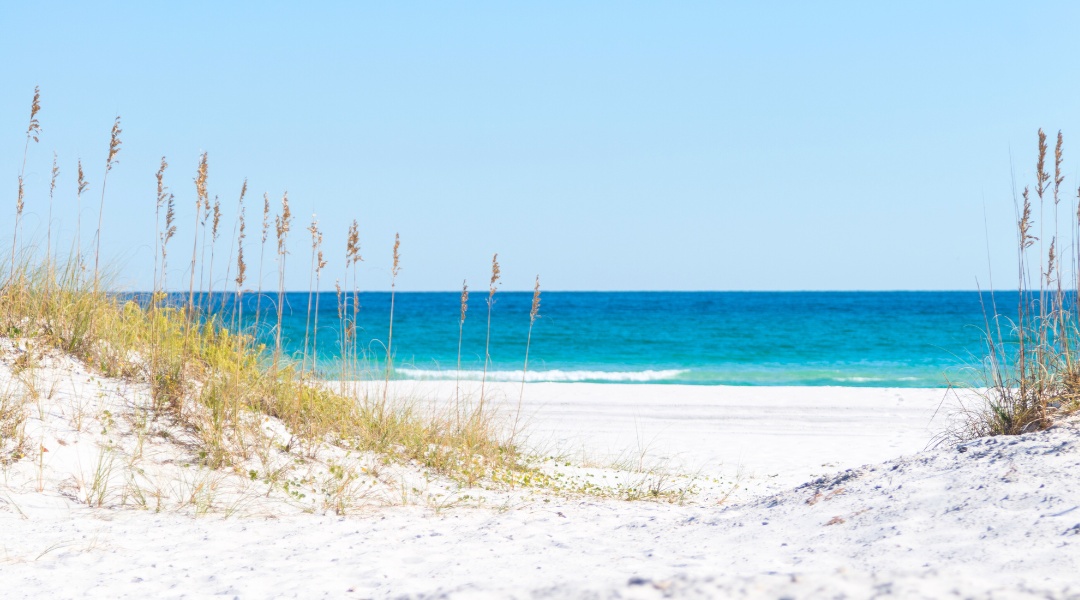 7 Reasons Winter is the Perfect Time to Move to the Gulf Coast